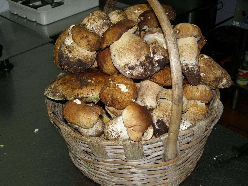 B&B Le Grazie Piaggine Bagian luar foto