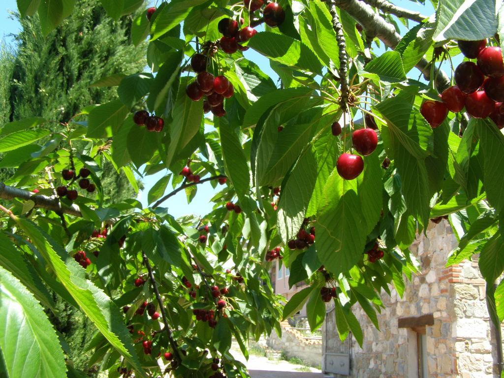 B&B Le Grazie Piaggine Bagian luar foto