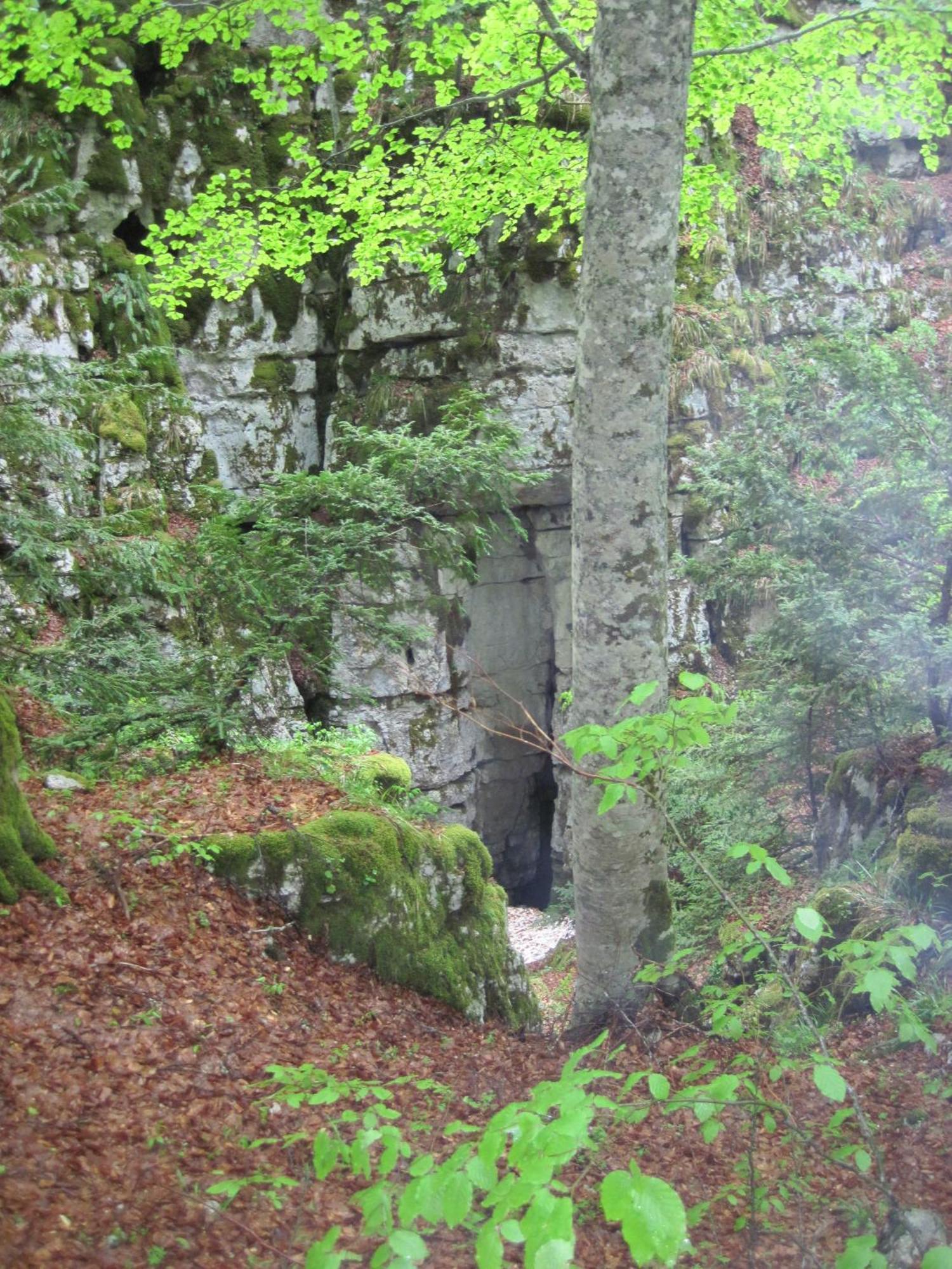 B&B Le Grazie Piaggine Bagian luar foto