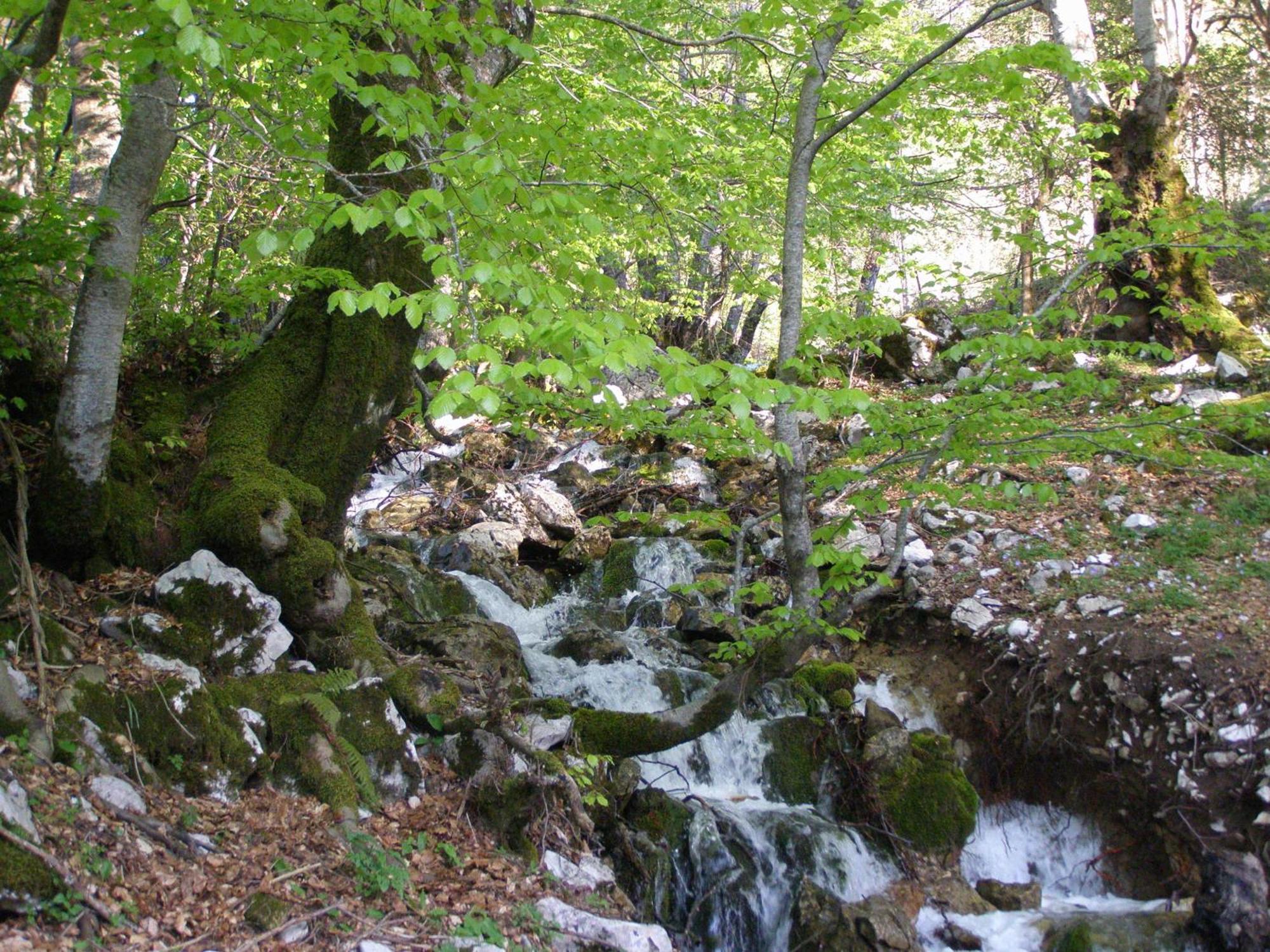 B&B Le Grazie Piaggine Bagian luar foto
