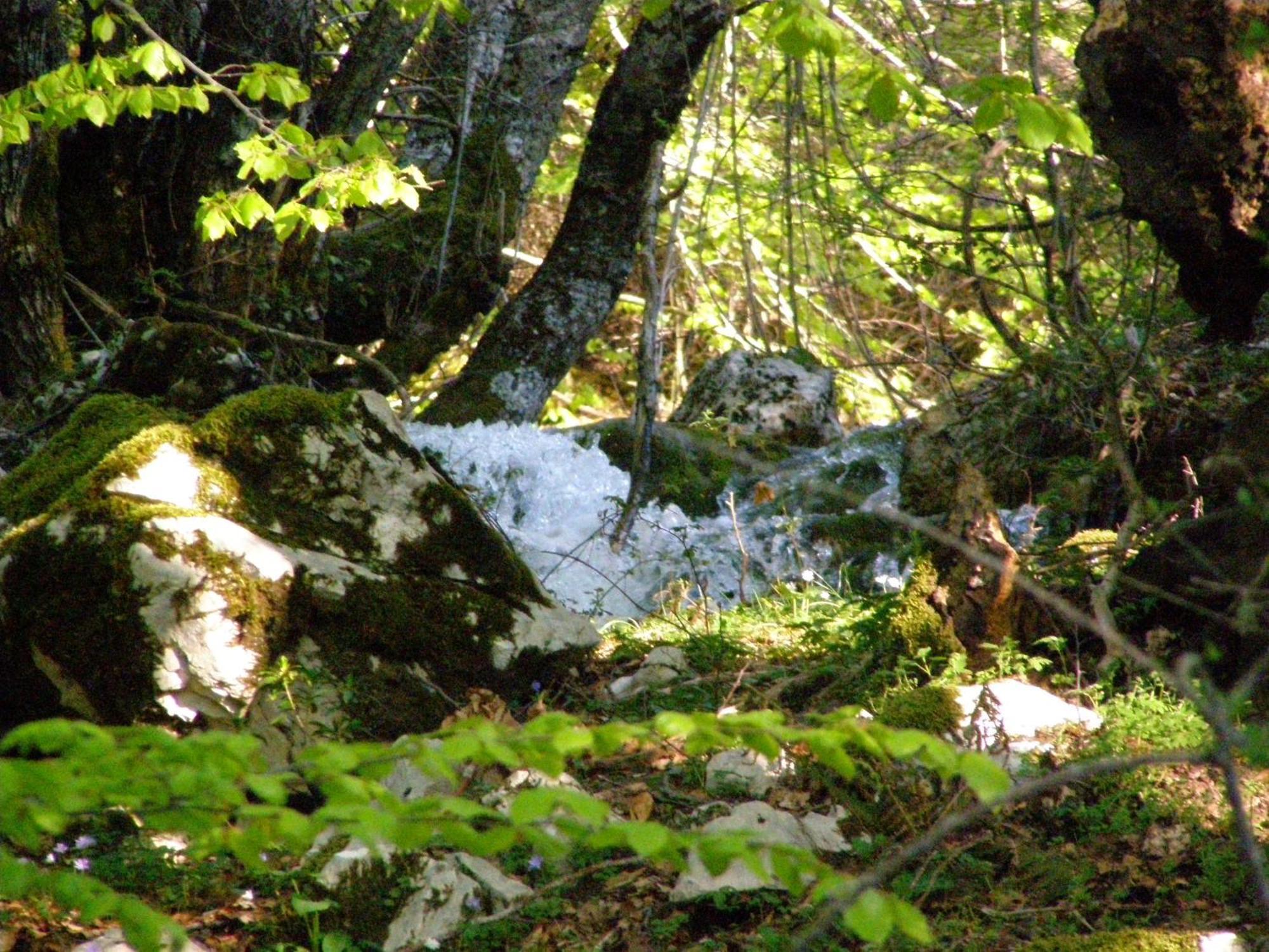 B&B Le Grazie Piaggine Bagian luar foto