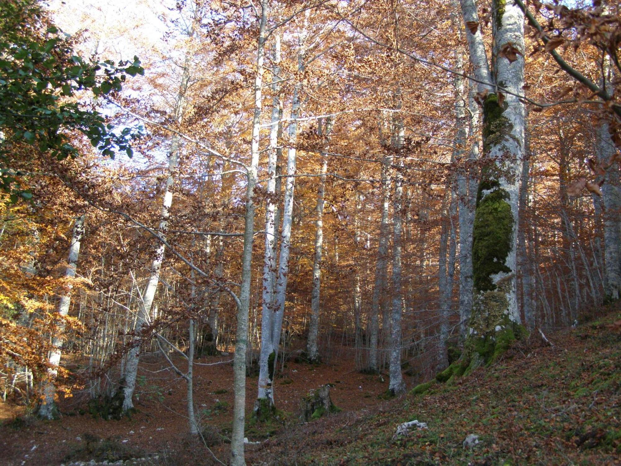B&B Le Grazie Piaggine Bagian luar foto