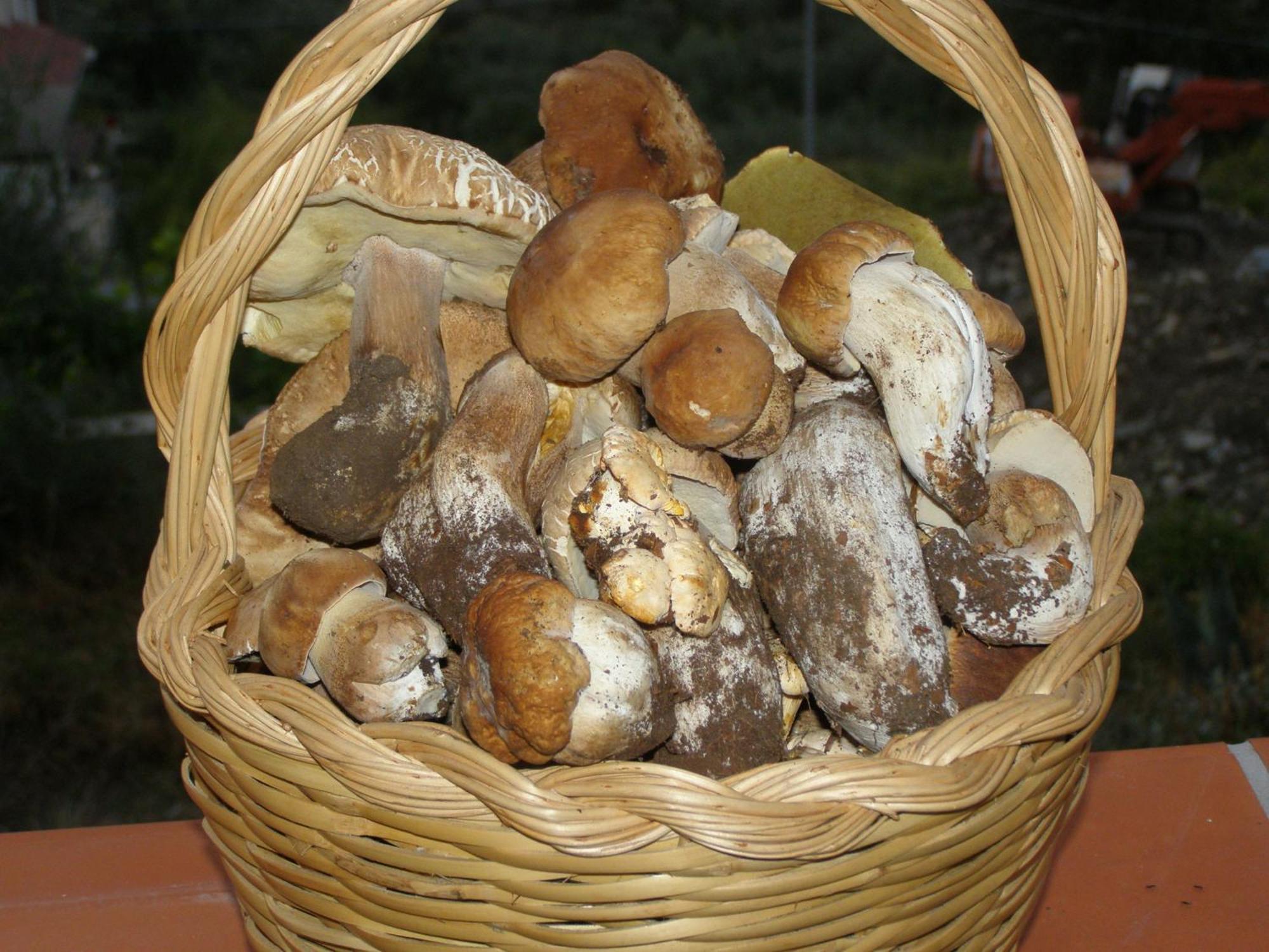 B&B Le Grazie Piaggine Bagian luar foto